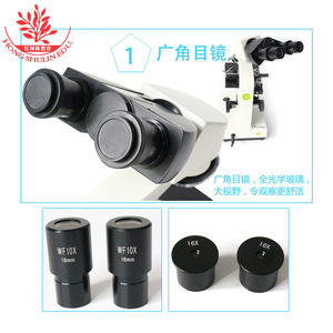 Biological <b>microscope</b> store manager recommends binocular <b>microscopes</b> as optical gifts for students and children, and for - Product Image 5