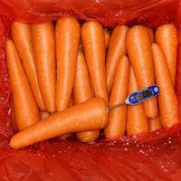 Carottes fraîches 10 kg, emballage en cartons, fournitures de carottes fraîches