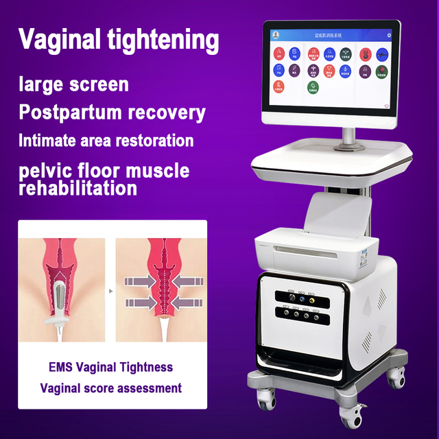 Beauty Center Pelvic Machine with Vaginal Probe for Adjustable Vaginal Tightening Beauty Ems Machine