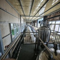 Agrinorm Volledig Wateroplosbare Snelwerkende Witte Poedermeststof met Rijke Elementen en Hoog Kaliumgehalte NPK5-15-45
