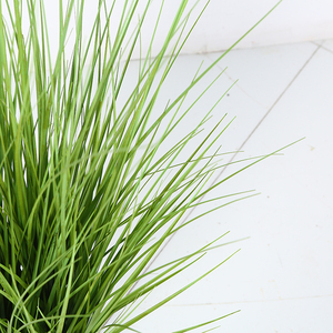 Fournisseur Pour Amazon Avec Jardinière Décorative de Mauvaises Herbes Aquatiques Mini En Plastique Plante Artificielle avec racines Herbe Bonsaï - Product Image 6