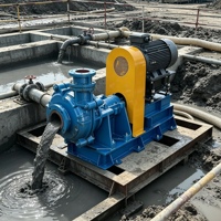 Pompe à boue horizontale industrielle robuste à haute densité, centrifuge, résistante à l'usure, pour épaississants et transferts sous-courants