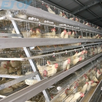 Cage à poulets automatique Ejoy A, galvanisée à chaud, pour élevage commercial de poules pondeuses, garantie 1 an