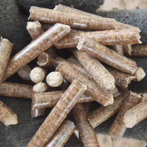 Heißer Verkauf hohe Kapazität 1-4 t/h Holz Sägemehl Biomasse Pellet Maschinen mühle
