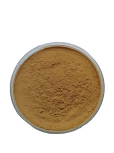 Cung cấp giá bán buôn 10:1 vỏ cây quế chiết xuất bột trong số lượng lớn - Product Image 2