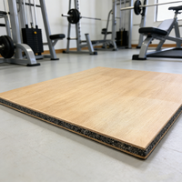 Umweltfreundliche, Rutschfeste, Langlebige EPDM-Gummiflocken-Garagenbodenplatten mit Holzoptik und Stoßdämpfung für Basketball im Innenbereich