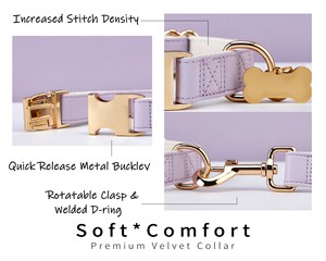 Cuir PU imperméable et plomb, collier de chien solide laisse ensemble bleu + pruple + blanc, boucle en métal gravé + étiquette de nom gratuite, cadeau de mariage pour chiot - Product Image 5