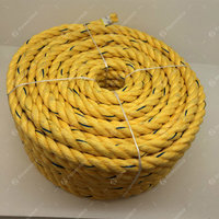 Cuerda de Polipropileno de 3 Hilos de 3/8'' Suministrada por Fábrica, Cuerda Marina de PP, Cuerda Flotante para Amarre de Barcos, Pesca y Uso General