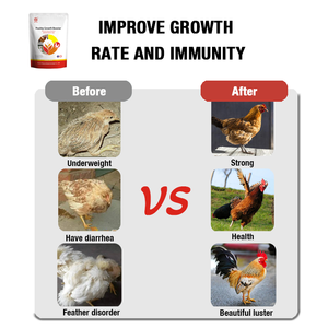 Suplemento Estimulante del Crecimiento para Pollos de Engorde Rápido, Promotor del Crecimiento de Aves de Corral - Product Image 6