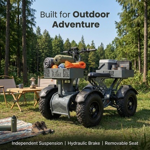 Scooter de chasse <span class=keywords><strong>électrique</strong></span> pliable et étanche <span class=keywords><strong>10000W</strong></span> 4x4 tout-terrain ATV <span class=keywords><strong>Quad</strong></span> pour adultes, autonomie 80 km - Product Image 1