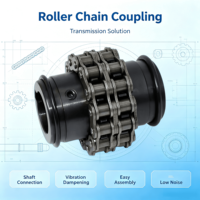 Accouplement à chaîne à rouleaux durable avec matériau forgé trempé, résistant à la chaleur et à la corrosion, économique et peu coûteux pour l'application