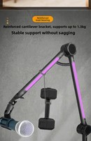 Support de microphone RVB en acier au carbone Support en porte-à-faux portable avec alimentation DC5V Support de support en métal