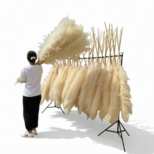 Pampas Beige ORIGINALES, Tallos Florales Artificiales, Flores Secas para Decoración de Bodas, Hogar y Fiestas - Product Image 1