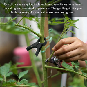 Clips <span class=keywords><strong>de</strong></span> treillis pour tomates, légumes et fruits, clips <span class=keywords><strong>de</strong></span> jardin réutilisables, clips <span class=keywords><strong>de</strong></span> treillis pour plantes grimpantes - Product Image 5