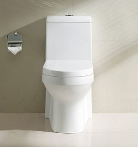 OVS Cupc北米市場ワンピース<span class=keywords><strong>UPC</strong></span>トイレ、CUPCトイレメーカー - Product Image 2