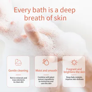 Private Label Organic Citric Acid Exfoliating Lightening Hotel Bath Gel Body Wash Whitening Shower Gel