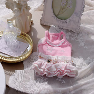 Reggicalze per cani graziose primavera estate gonna sottoveste vestito di jeans - Product Image 6