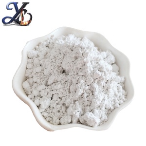 Polvere Bianca <span class=keywords><strong>di</strong></span> Diatomite <span class=keywords><strong>Terra</strong></span> <span class=keywords><strong>Diatomacea</strong></span> per Alimenti - Product Image 3
