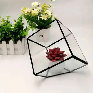 Petit bocal en verre inclinable cube Terrarium en verre personnalisé de haute qualité Terrarium de plantes de bureau pour la décoration de la maison