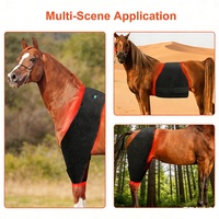 Ceinture de thérapie LED rouge et infrarouge équine 2026 pour chevaux et poneys, 660nm et 850nm, alimentée par batterie, pour le cou et le ventre