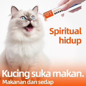 Dilisa Cat Stick Versión en Inglés, Snacks Líquidos para Gatos, Alimento Húmedo para Gatos, 15g, Aumento de Peso, Gráfico de <span class=keywords><strong>Gato</strong></span> de Dibujos Animados, 18 - Product Image 2