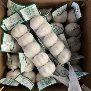 Ajo Fresco de Nueva Temporada 2026, Ajo Blanco Puro de 5.0cm, 5.5cm, 6.0cm, Grado Premium de Exportación, Proveedor Mayorista de Vegetales - Product Image 2
