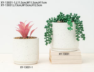 Maceta de cerámica para orquídeas y soporte para plantas, decoración minimalista versátil para el <span class=keywords><strong>hogar</strong></span> para sala de estar, suculentas, macetas y macetas para flores verdes - Product Image 4