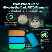 Filament PETG Luminescent dans le Noir, Luminescence Longue Durée, Faible Odeur, Sûr et Écologique pour Imprimante FDM
