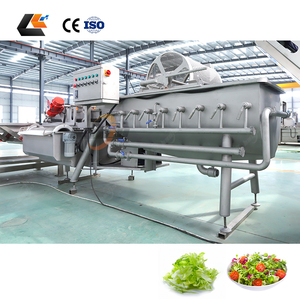 Laveuse de légumes à feuilles à prix d'usine, machine à laver les légumes, laveuse de salades à l'ozone, machine à laver le gingembre - Product Image 4