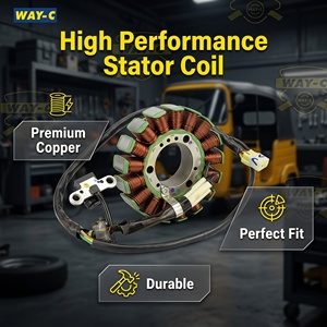 Repuestos para Triciclos WAY-C: Conjunto de Estator Magnético 1D001847 para <span class=keywords><strong>Piaggio</strong></span> Ape City Tuk Tuk Auto Rickshaw - Product Image 2