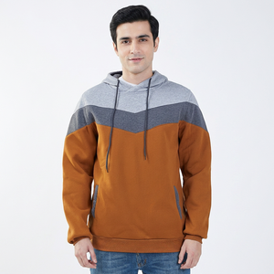 Sudaderas con capucha y sudaderas de algodón 100% para hombre, tallas grandes, personalizadas, informales, lisas, en venta. - Product Image 1