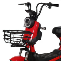 Nouveau Vélo Électrique Urbain 14 Pouces à Vendre, Moteur Électrique Sans Balais 350W 48V, Charge Utile 200kg, 2 Places, Phare LED