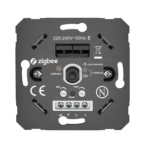 D681E2-ZG 220V AC 300W ZigBee 3.0 voix App contrôle Led lumières gradateur intelligent commutateur