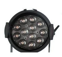 RUSH PAR 2 RGBW Zoom 12x10W Luminaire de lavage statique RGBW avec contrôle du zoom