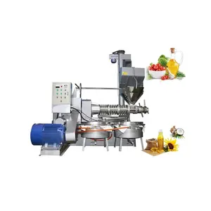 Hot Automatic Sunflower Seed Soy Bean Cold Oil Pressing Oil Expeller Machine For Kenya