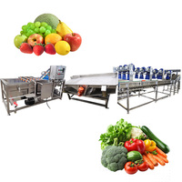 1 jaar garantie Automatische multifunctionele fruitverwerkingsinstallatie voor het reinigen van appels & peren en het wassen van groenten