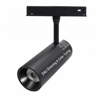 Spot LED magnétique 48V sur rail, blanc réglable DALI DT8, COB, en aluminium, linéaire, encastré ou en saillie, pour système de plafond, maison, bureau, moderne, CRI