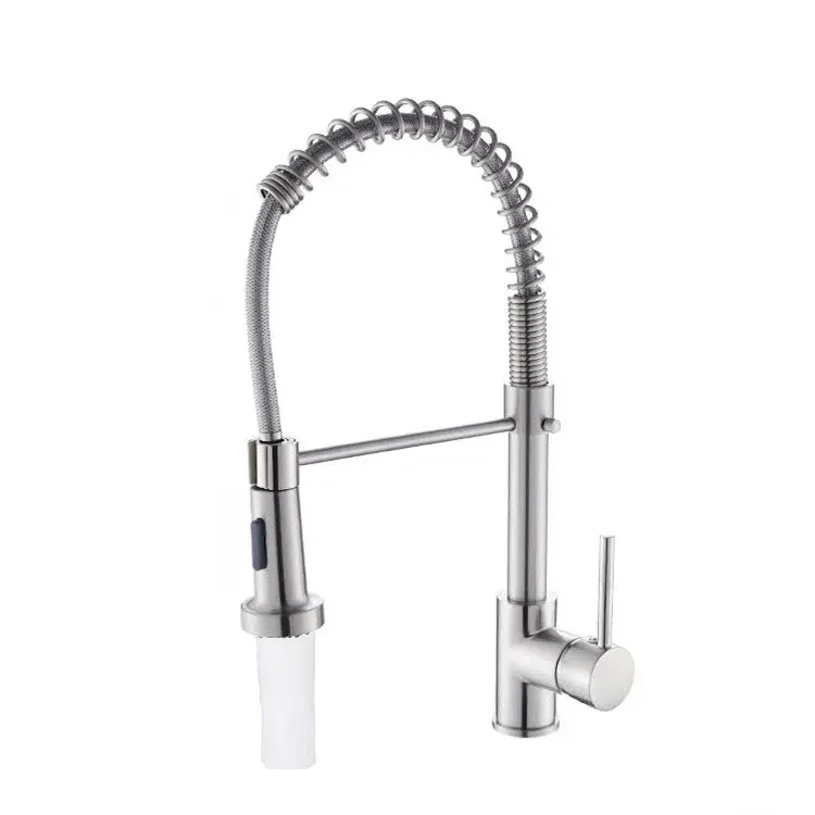Sprayer Filetr Spring Sink Pull Out Kitchen Faucet