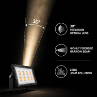 Projecteur LED paysager 50W 100W IP65 étanche à faisceau étroit de 30 degrés pour éclairage d'arbre extérieur et éclairage architectural avec RGB