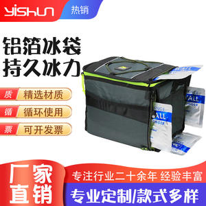 กระเป๋าเก็บความเย็นแบบมีฉนวนกันความร้อนพร้อมแพ็คน้ำแข็ง ความจุ 12 กระป๋อง สำหรับเก็บอาหารกลางวันปิกนิกกลางแจ้ง - Product Image 2