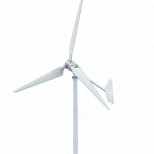 1000W 12V 24V 48V Windkracht Turbine Generator Gratis Energie Voor Thuis Efficiëntie Horizontale Windturbine