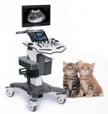 VINNO 6 Vet, appareil d'échographie vétérinaire portable, échographie couleur Doppler mobile pour usage animal - Product Image 2