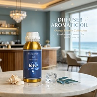 Huile parfumée marine côtière pour diffuseur commercial de hall d'hôtel, parfum sel marin, longue durée, en stock, personnalisable