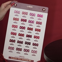 ZRKGEL Nouvelle Tendance 24 Couleurs Rouge Pailleté Ladai Set Haute Pigmentation Scintillant pour Usage en Salon Fournisseurs en Gros de Gel UV Longue Durée