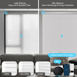 Stores motorisés intelligents ZSTARR Shangri-La à double voile, avec commande vocale, compatibles Alexa et <span class=keywords><strong>Google</strong></span> Home - Product Image 2