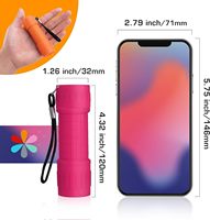 Mini lampe torche LED EverBrite en ABS légère, couleurs assorties, avec cordon pour le camping, la randonnée et les situations d'urgence