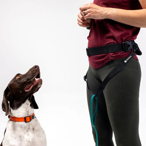 Riñonera Impermeable de Nailon con Anillas en D para Pasear y Correr con Perros - Product Image 2