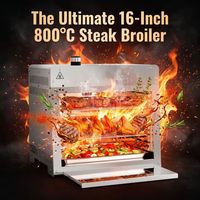 Grill à steak commercial en acier inoxydable haute température 800 degrés Celsius, prix usine