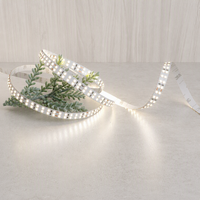 Bande lumineuse LED 2835B-240D-12MM-24V Double rangée Corps en cuivre IP20 Ra80 Température de couleur multiple Utilisation intérieure
