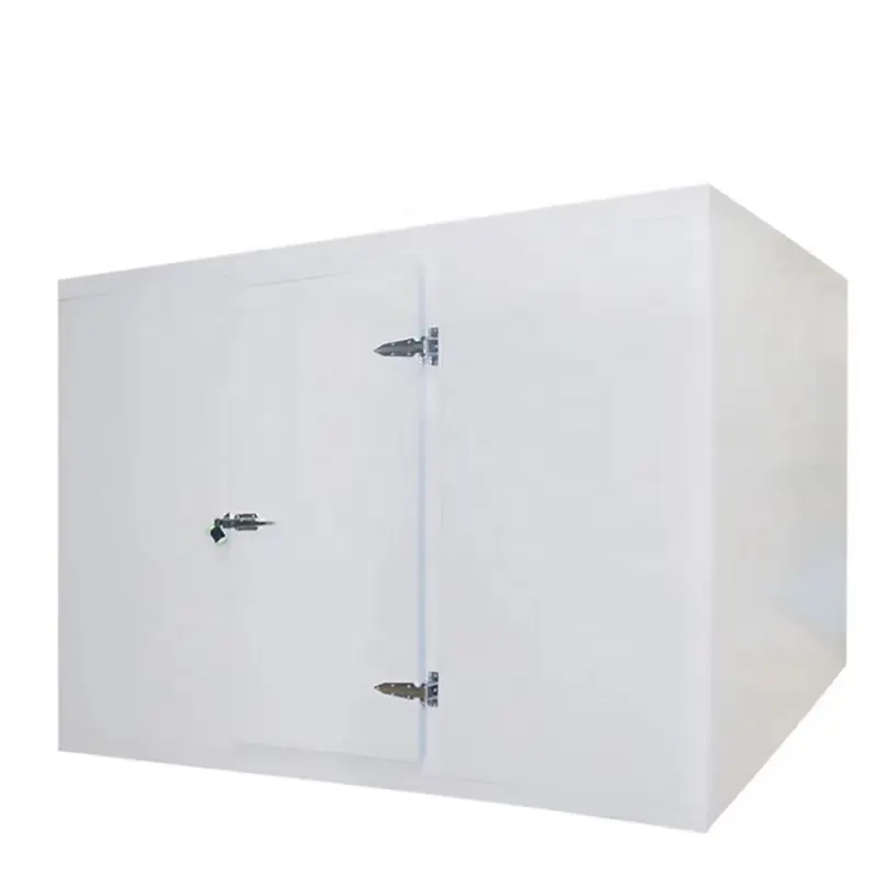 In vendita varie specifiche celle frigorifere per Container mobili per uso industriale